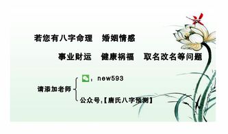感情与家庭生活的细节