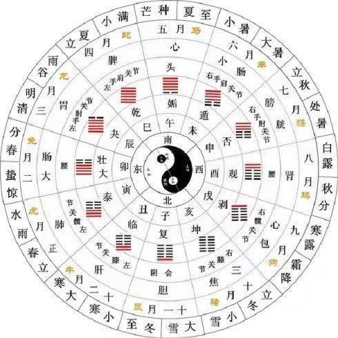 生肖对应五行， 看配偶是哪路财神