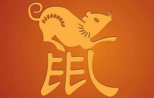生肖鼠：成熟稳沉重， 机遇不断