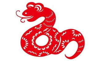 猪：缘分与机遇并存