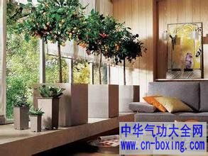 大门——气口的入口