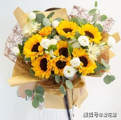 为哪些平时不能随意给女友送花？