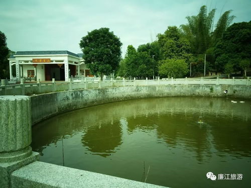 如何改善水塘风水