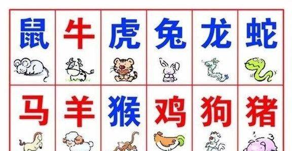 哪些叫情肖？