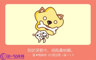 真实诚待人