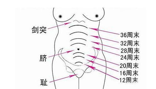 坎宫与人体身体健康状况