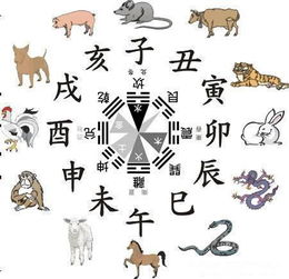 2. 生肖只是诞生年份的天干地支