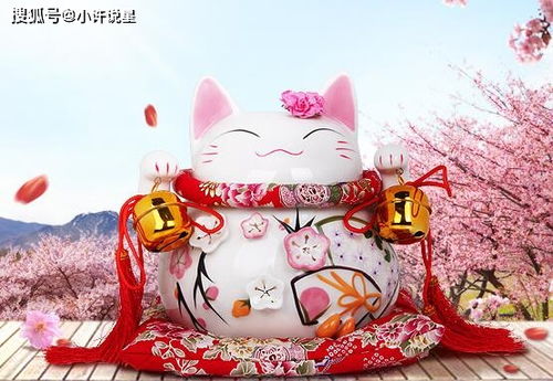 双生肖：龙凤呈祥，你下周Neng抓住横财大发的好运吗？