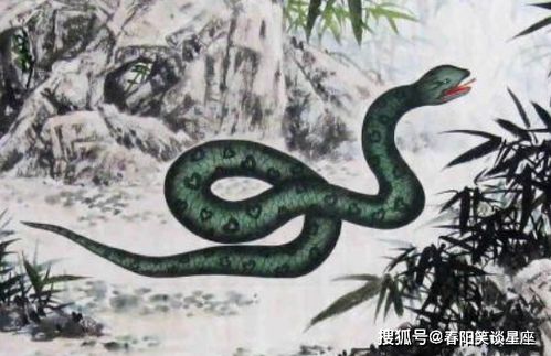 其他月份诞生的属蛇人