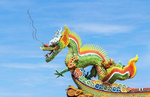 辰龙到底是哪些个来路？