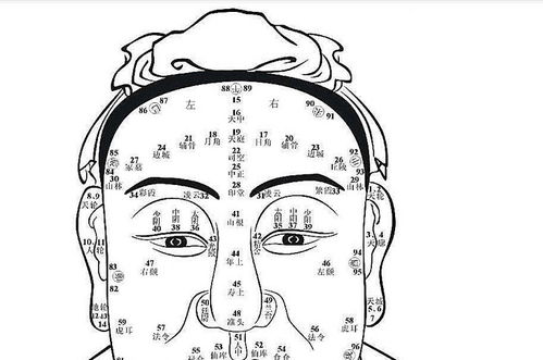 面相与福气——别再只靠星盘算命啦