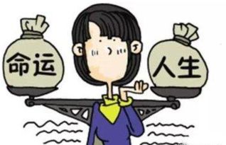 外因——岁运这条“时间段链”
