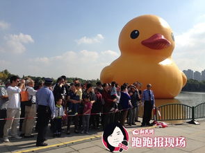 大黄鸭世纪公园门票优惠攻略：一篇让你笑到肚子痛的省钱指南