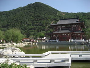 景区实况：照片里是天堂，现场是澡堂