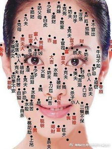 鼻梁上的“财库”你了解吗？