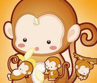 其他不错的搭配