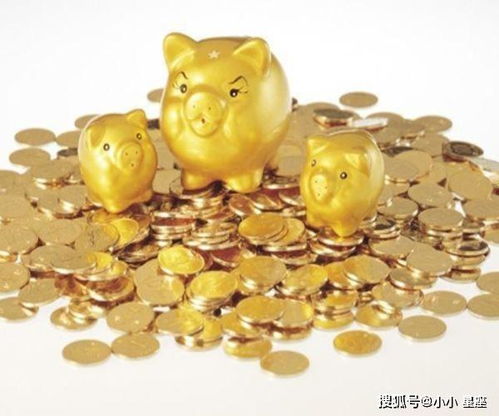 2025年属猪女的金猪迎福吉日：老友唠叨唠叨