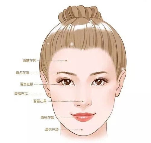 松柏木命人的基本面貌