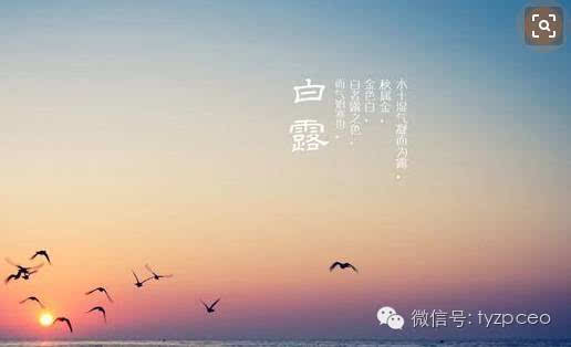 白露之后 这一些生肖的财运也会较大涨