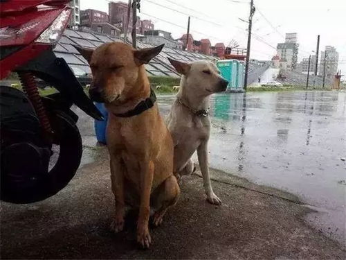 从风水角度解析