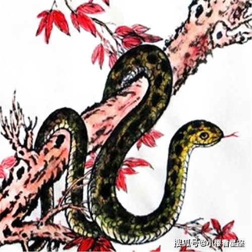 不容简单道你不该较深刻珍惜那一些生肖属蛇的珍市场价格较高友情吗？
