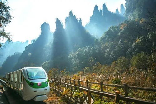 张家界景区门票限时优惠！错过再等100年！