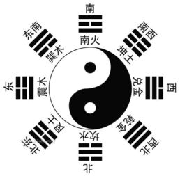 谁适合做种生基？谁又不适合？
