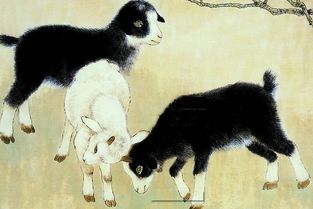 啥时候启动啊？
