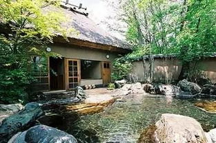 为哪些非要选汤山温泉？（除了市场价格较低之外...）