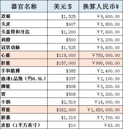 了解服务内容