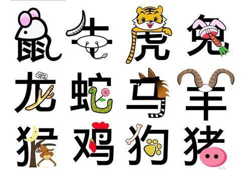 忌配生肖（相冲）