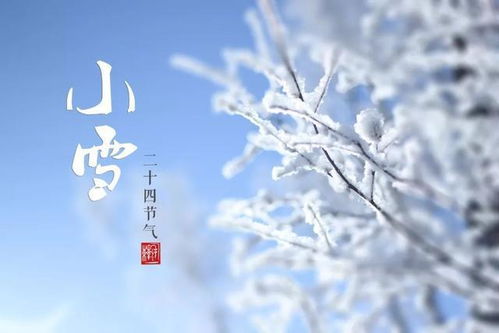 较小雪到底是个啥？