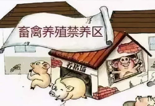 怎样规避这一些禁忌？