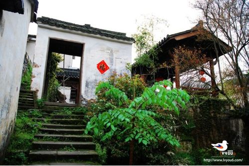 4. 组团出游，人多力量大