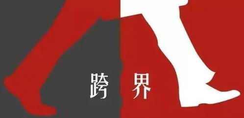 进修与跨界：夏秋之交