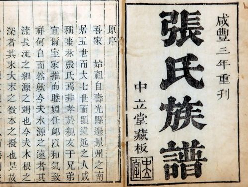 厦门张氏,厦门张氏