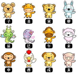 哪些生肖需要特别注意呢？