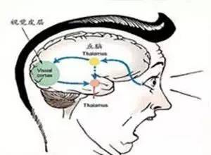 不同情境下的解读