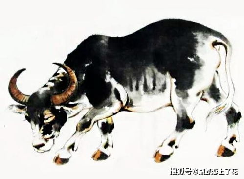 属牛的人：稳沉重可靠的“财源直冲云霄”