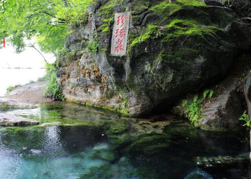 2. 线上购票优惠更多到爆