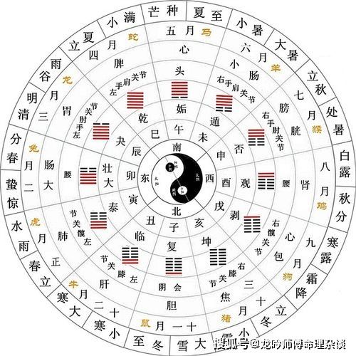 坤卦：母亲的力量