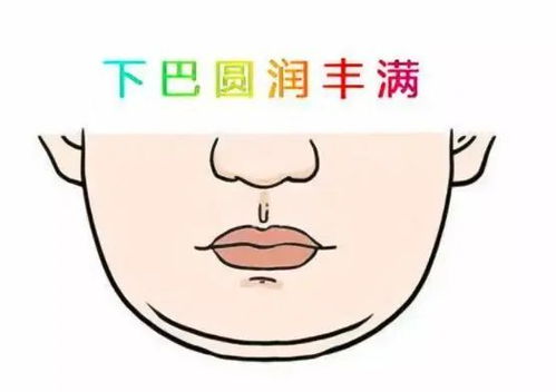 下巴圆润：财源滚滚来的标志