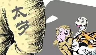探探路