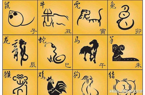 生肖选择：十二生肖的特质与寓意（这波是避坑指南，沉重点！）