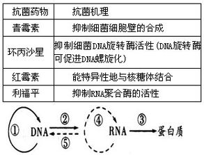 图表桥梁——一目了然