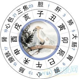 当天干支与整体氛围