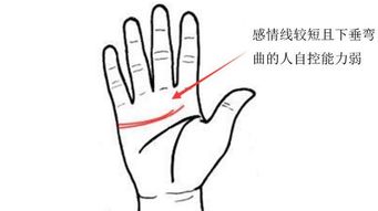 感情线断断续续的困惑