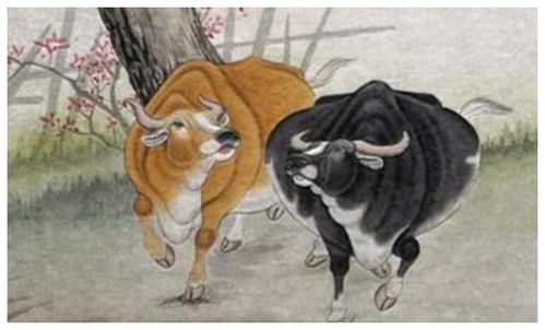 生肖牛