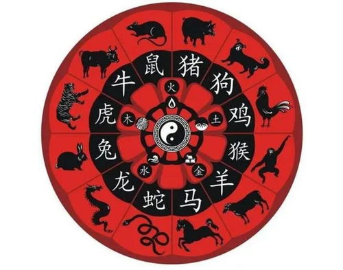2024年生肖风水较大揭秘:是时候添丁了吗?