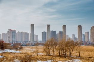 3. 团购优惠大放送